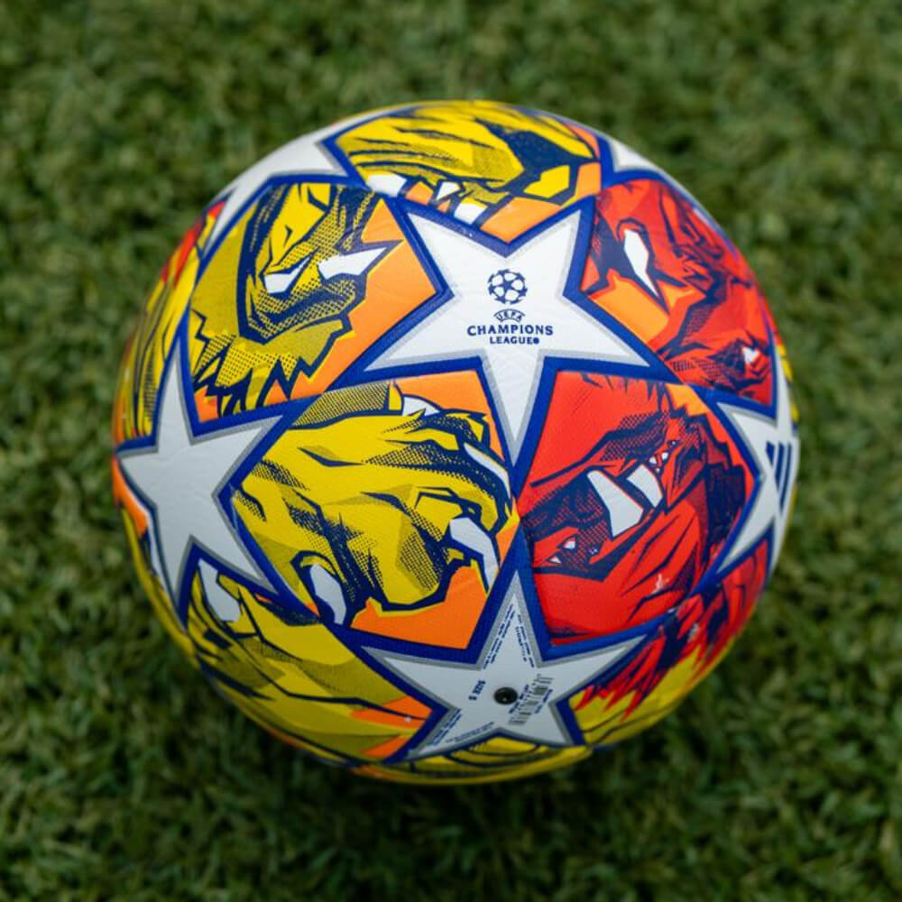 Купити Футбольний м'яч Champions League 23/24 PRO